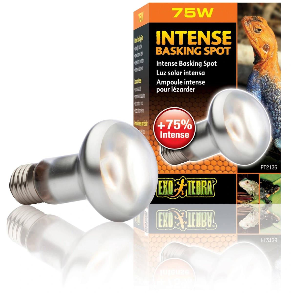 Exo Terra Intense Basking Spot 75 W - Effektiv UVA-varmespot til terrarier